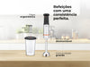 Varinha Mágica BlendUltra QuadFlex TitaniumBlade 1500W 2044FL